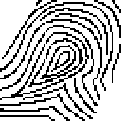 fingerprint_bitmap.gif