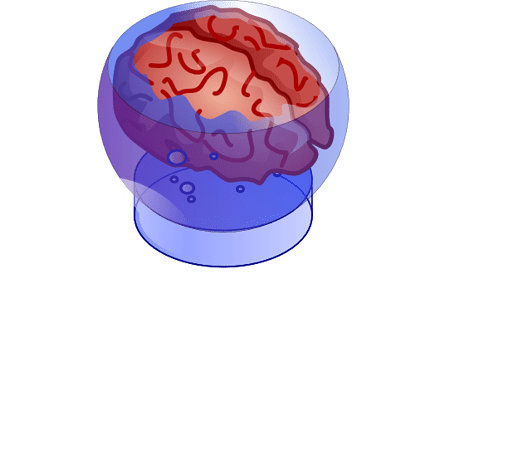 bb_brain.png