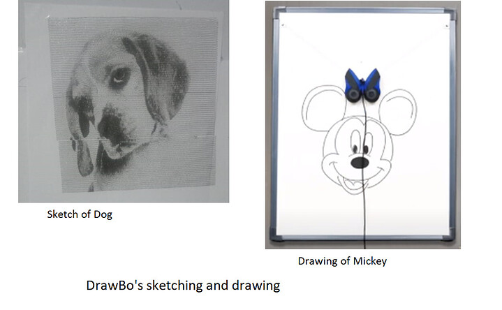 DrawBo's sketching and Drawing