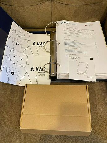 NAO V5 Blue 6