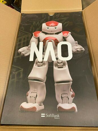 NAO V5 Blue 1