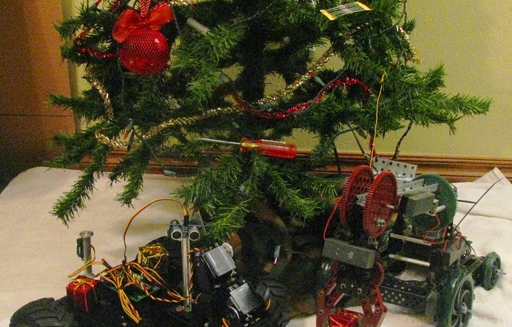 bots and tree.jpg