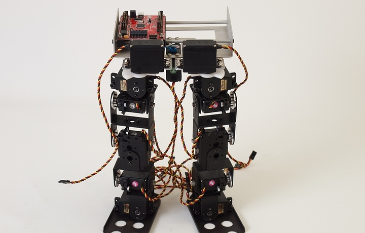 6DOF_Biped_06_800.jpg
