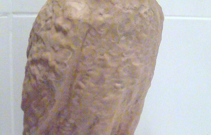 SAM_0482.JPG