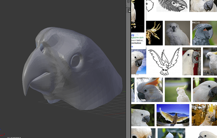 COCKATOO.PNG