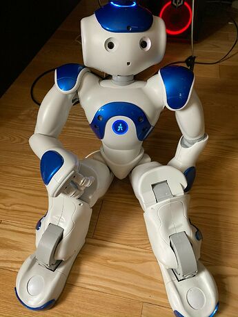 NAO V5 Blue 4