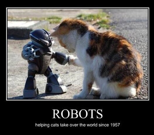 robots-helping-cats-funny-demotivational-posters-pics_orig