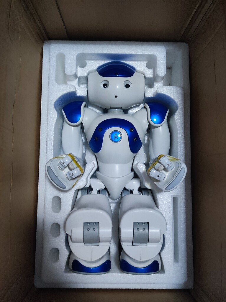 Nao robot for sale - Marketplace - RobotShop Community