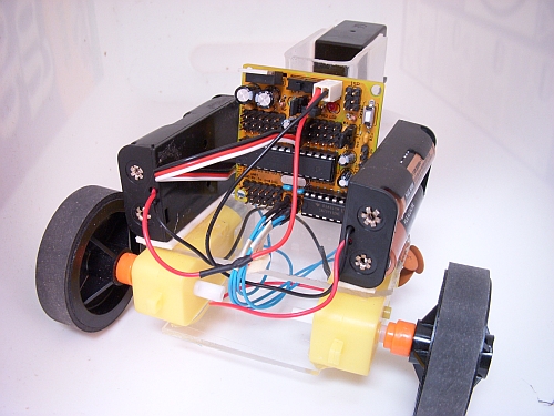 Why_Tri_Rear_029_sm.jpg