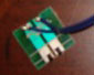 Macro_5.jpg