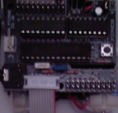 ribbon_cable_connected_to_board.jpg