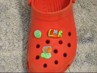 Croc_popons__13_.jpg