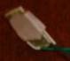 Macro_14.jpg