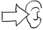 ear.png