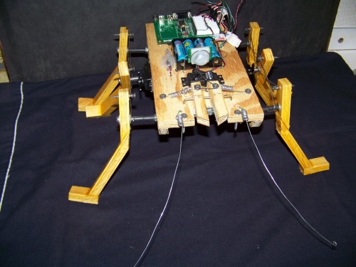 bugbot_001.jpg