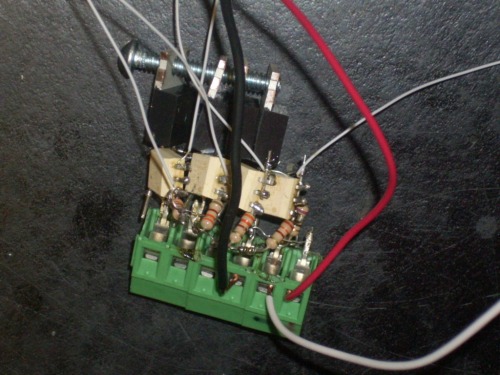 DSCI0011.jpg