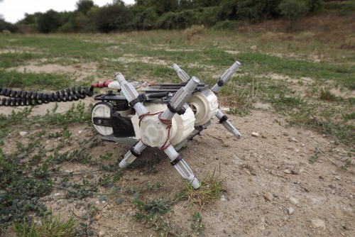Robocrab__1_.jpg