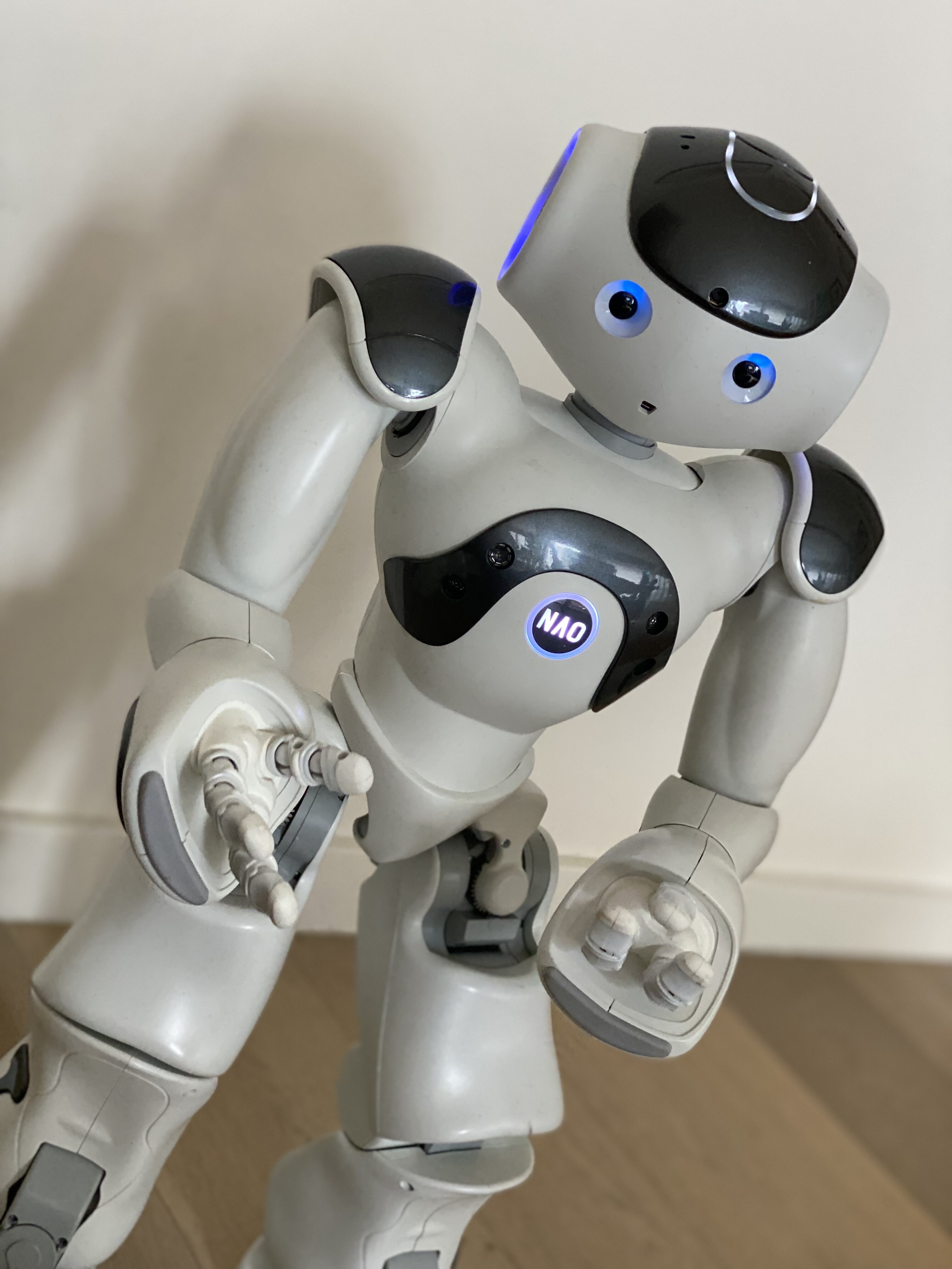 Formen Ejendommelige ingen Nao V6 robot for sale (Belgium) - Marketplace - RobotShop Community