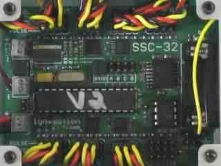 ssc01.jpg