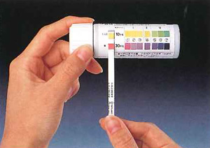 img3.jpg