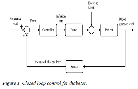 biomedres-diabetes-loop-16-7230-g001