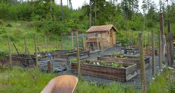 Chicken-Coup-and-Garden.jpg