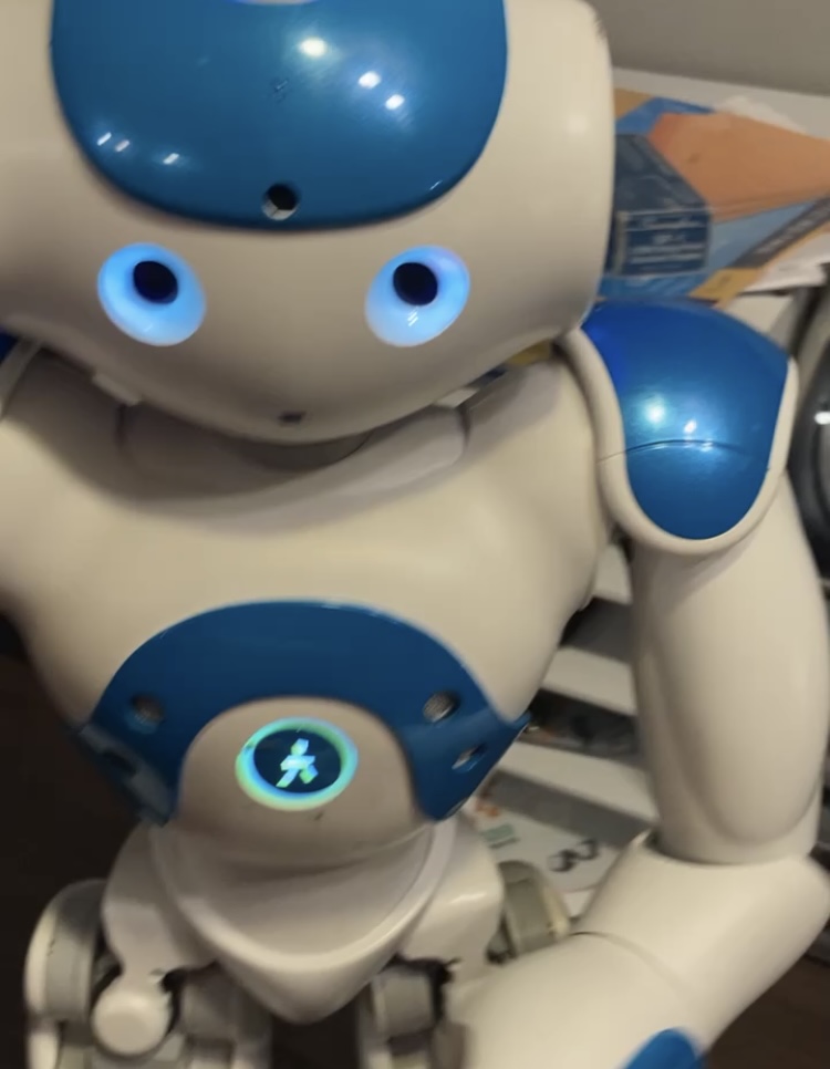 mavepine udlejeren talsmand Nao Robot v4 blue for sale - Marketplace - RobotShop Community