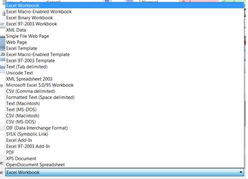 Excel save as options.JPG