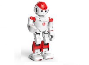 Alpha 2 Humanoid Robot