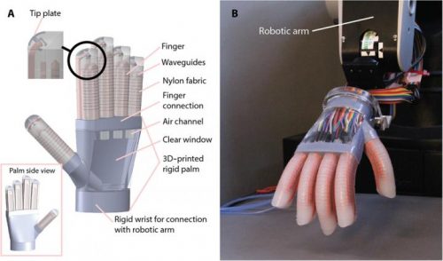 (A) Schematic of hand structure and components; (B) image of the fabricated hand mounted on a robotic arm with each finger actuated at ΔP = 100 kPa. Source: Cornell University