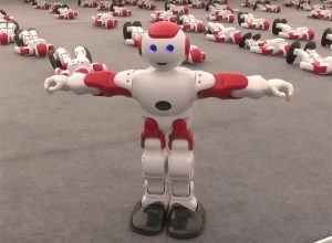 QRC-2 Humanoid Robot