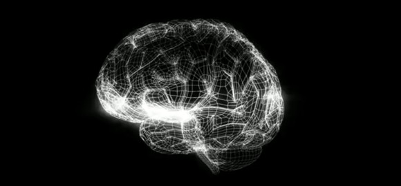 Проект в голове 7 The Human Brain Project Wants to Simulate a Brain, Gets 1B$ RobotShop Community