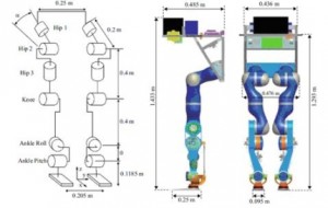 DLR-Biped Schematics