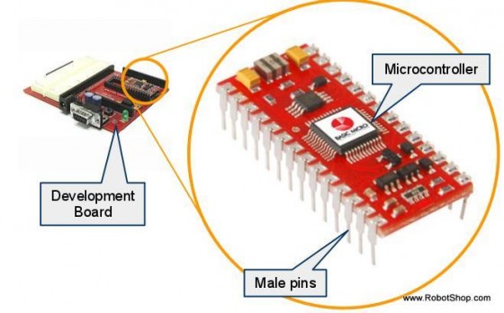 Microcontroller and Development Board