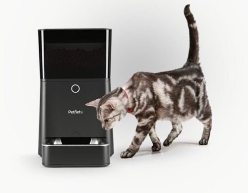 Cat - SmartFeeder