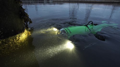 contemporary-robotics-professional-underwater