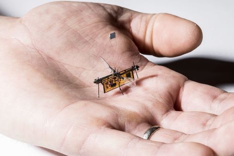 RoboFly, a robo-insect powered by an invisible laser beam.