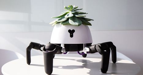 The robot-plant hybrid, built by Vincross founder Sun Tianqi.