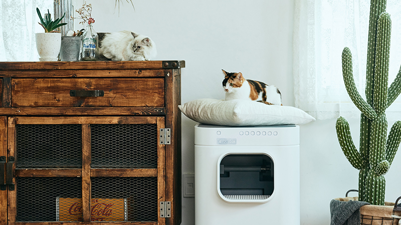 LavvieBot S, a new self-cleaning pet care solution that visually meshes with any decor
