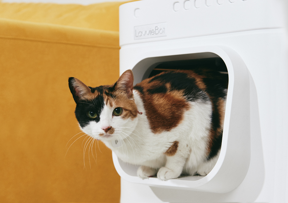 LavvieBot S has a convenient entrance that allows cats to jump out without spreading litter around the house.