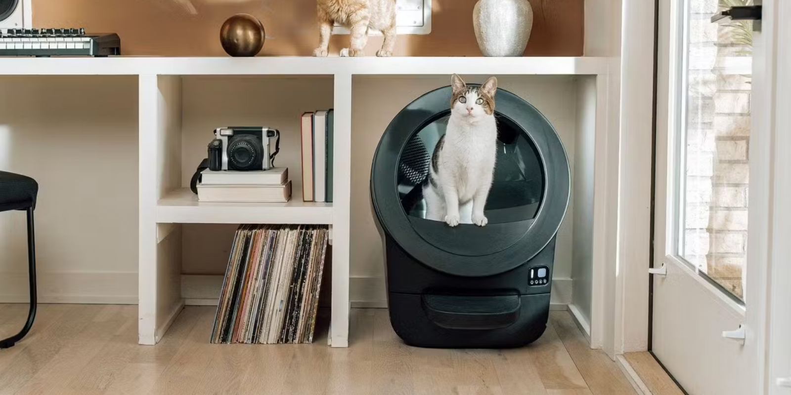 Litter-Robot EVO, A Compact Self-Cleaning Litter Box