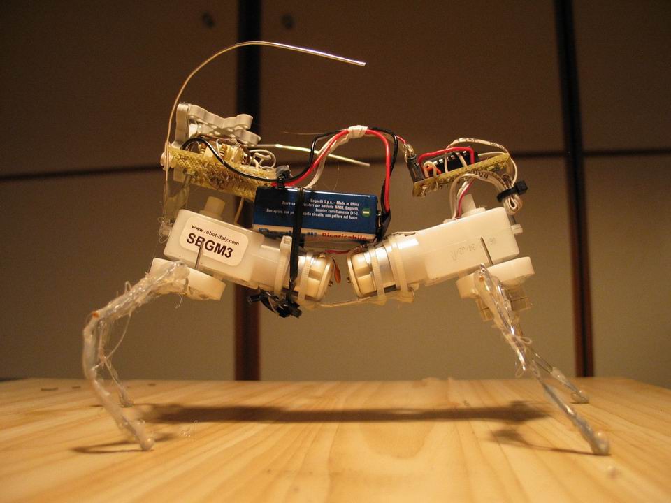 Microcore Panel Microcore Walker | RobotShop Community