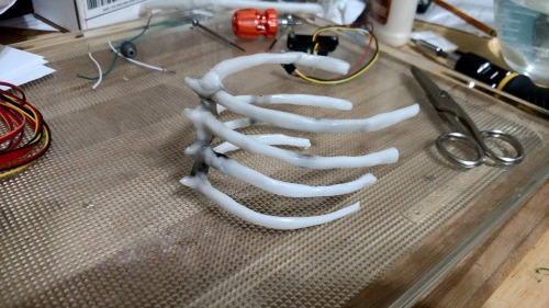 rib cage built using polymorph plastic