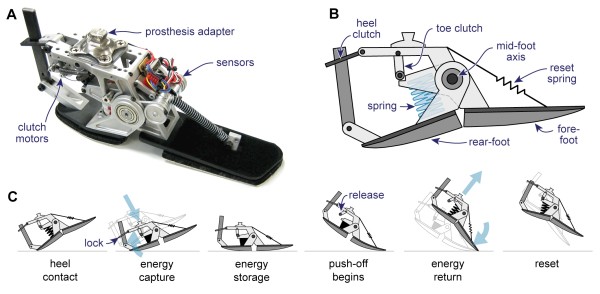 Bionic Foot