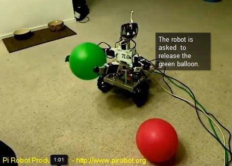 Pirobot